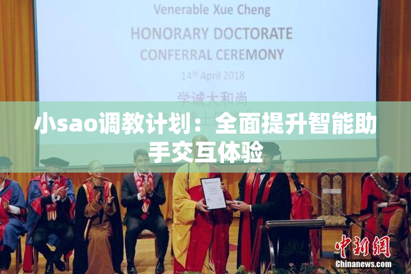 小sao调教计划：全面提升智能助手交互体验