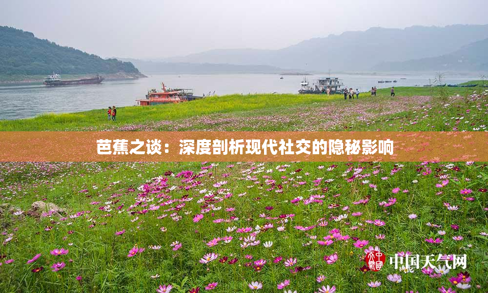 芭蕉之谈：深度剖析现代社交的隐秘影响