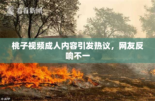 桃子视频成人内容引发热议，网友反响不一