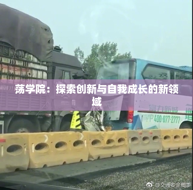 荡学院：探索创新与自我成长的新领域