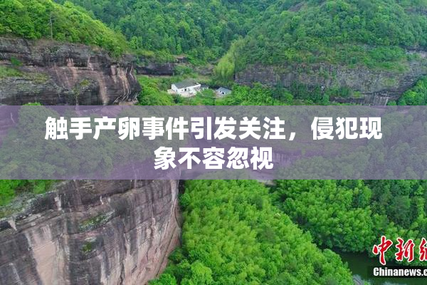 触手产卵事件引发关注，侵犯现象不容忽视