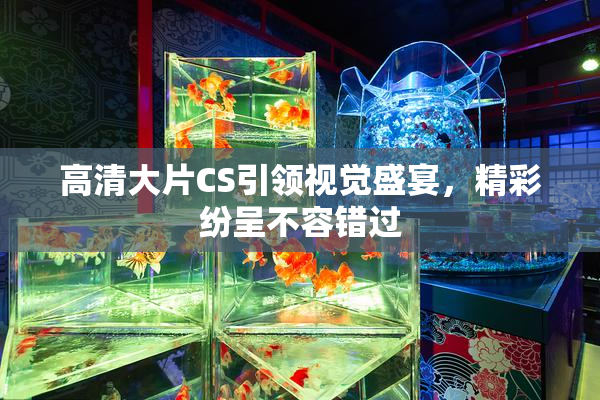 高清大片CS引领视觉盛宴，精彩纷呈不容错过