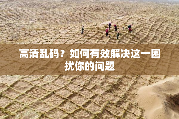 高清乱码？如何有效解决这一困扰你的问题