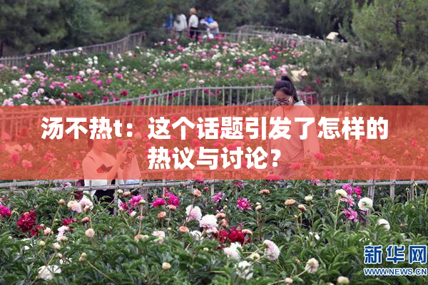 汤不热t：这个话题引发了怎样的热议与讨论？