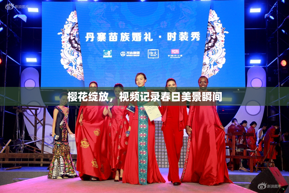 樱花绽放，视频记录春日美景瞬间