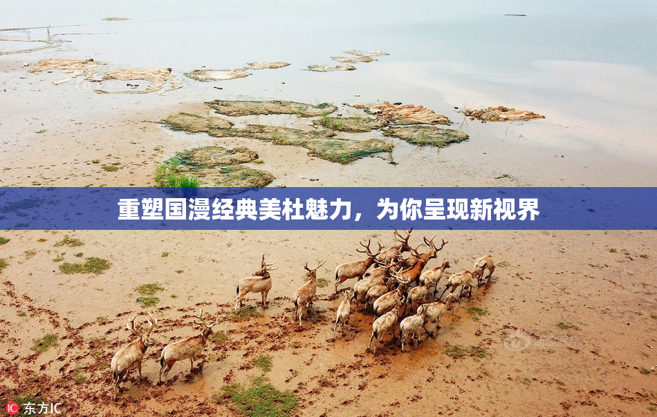 重塑国漫经典美杜魅力，为你呈现新视界