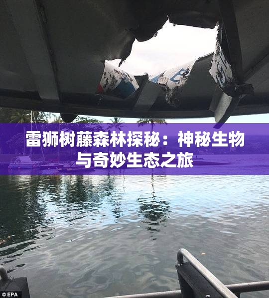 雷狮树藤森林探秘：神秘生物与奇妙生态之旅