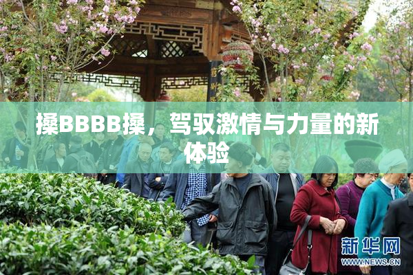 搡BBBB搡，驾驭激情与力量的新体验
