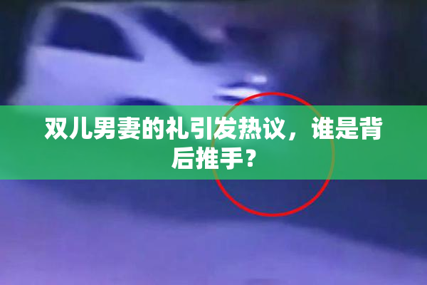双儿男妻的礼引发热议，谁是背后推手？