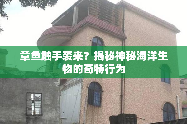 章鱼触手袭来？揭秘神秘海洋生物的奇特行为