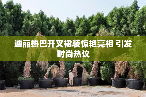 迪丽热巴开叉裙装惊艳亮相 引发时尚热议