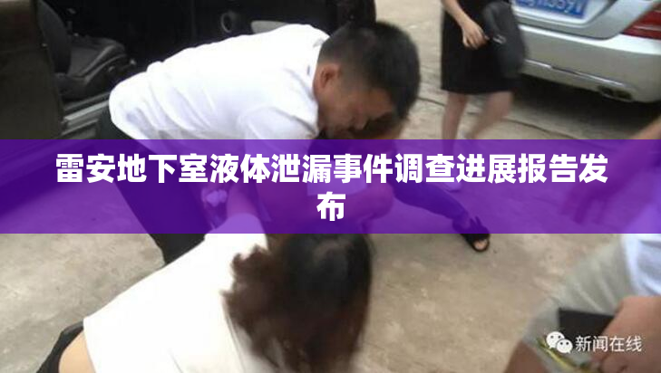 雷安地下室液体泄漏事件调查进展报告发布