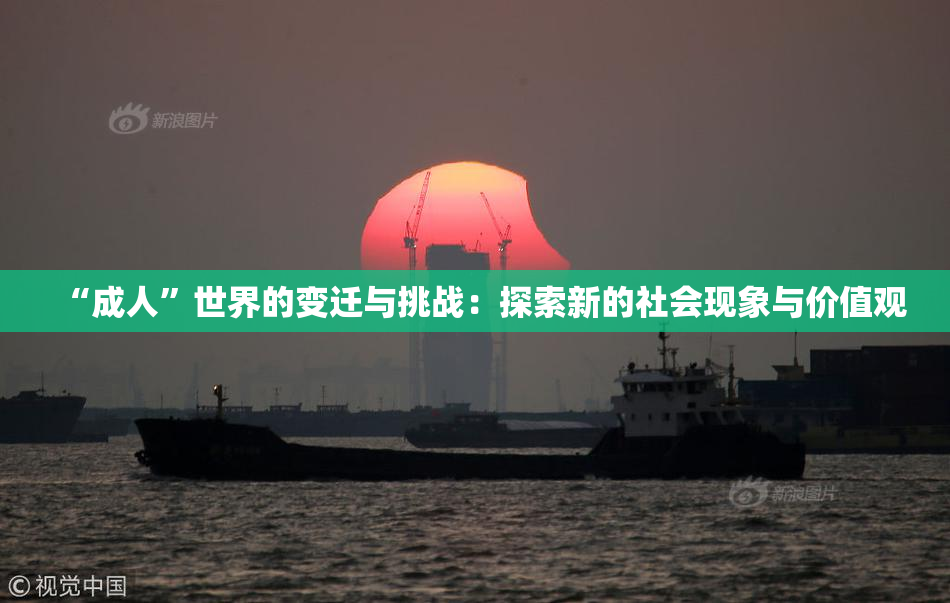 “成人”世界的变迁与挑战：探索新的社会现象与价值观