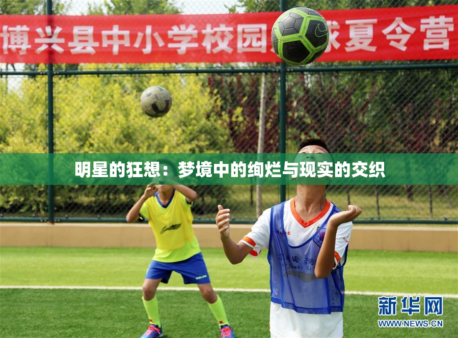 明星的狂想：梦境中的绚烂与现实的交织