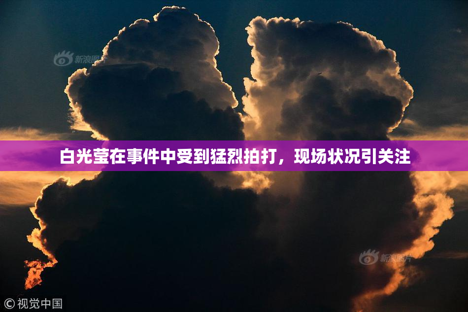 白光莹在事件中受到猛烈拍打，现场状况引关注