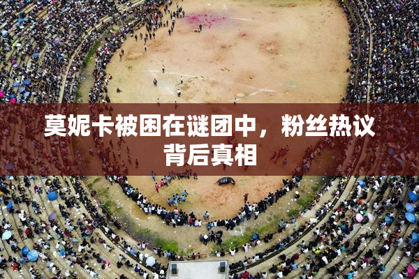 莫妮卡被困在谜团中，粉丝热议背后真相