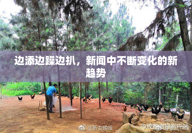 边添边躁边扒，新闻中不断变化的新趋势