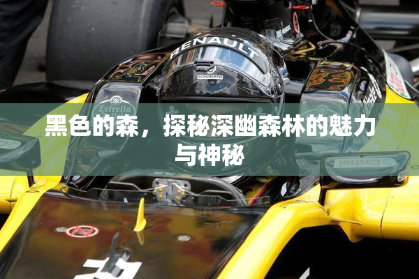 黑色的森，探秘深幽森林的魅力与神秘
