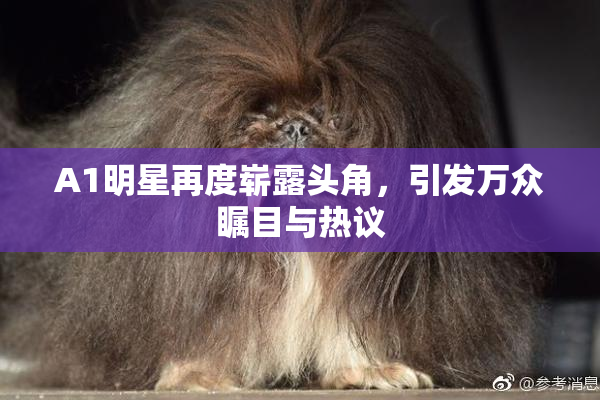 A1明星再度崭露头角，引发万众瞩目与热议