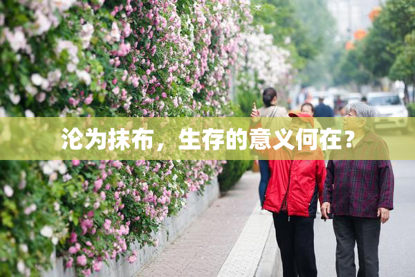 沦为抹布，生存的意义何在？