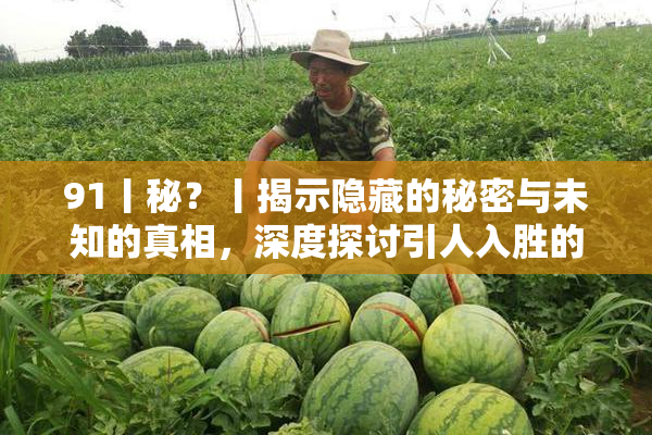 91丨秘？丨揭示隐藏的秘密与未知的真相，深度探讨引人入胜的故事