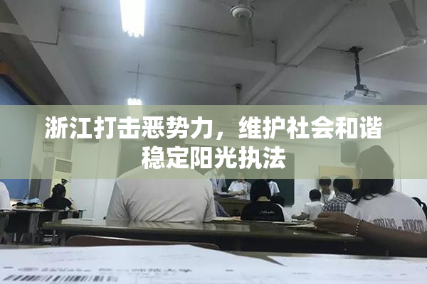 浙江打击恶势力，维护社会和谐稳定阳光执法