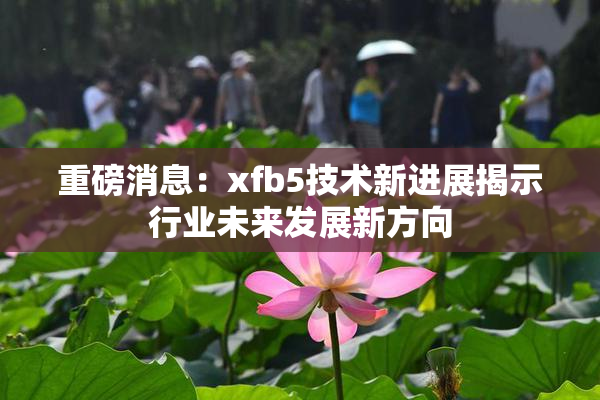 重磅消息：xfb5技术新进展揭示行业未来发展新方向