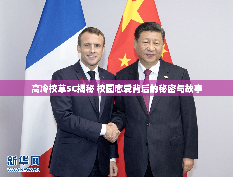 高冷校草SC揭秘 校园恋爱背后的秘密与故事