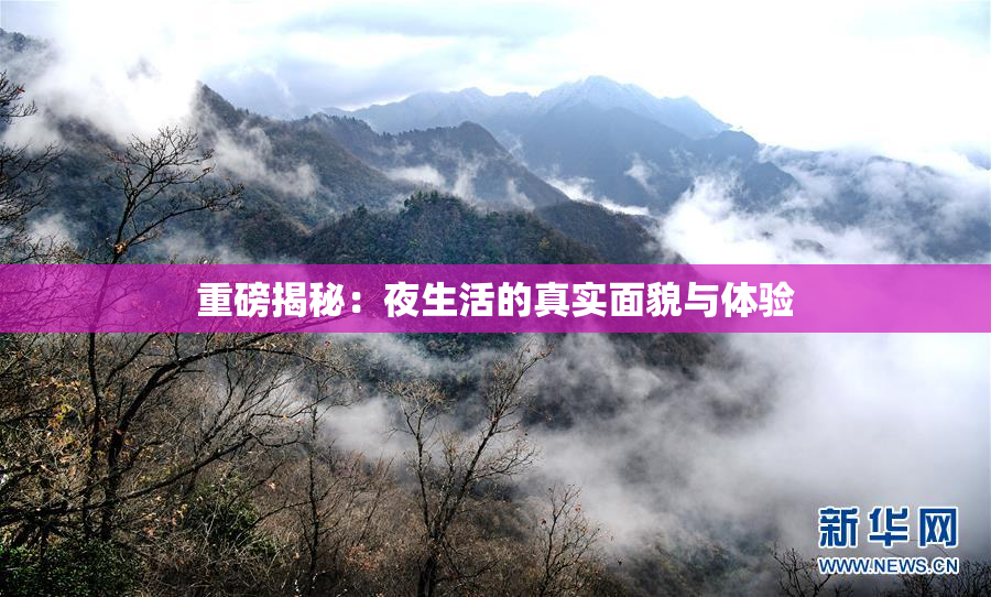 重磅揭秘：夜生活的真实面貌与体验