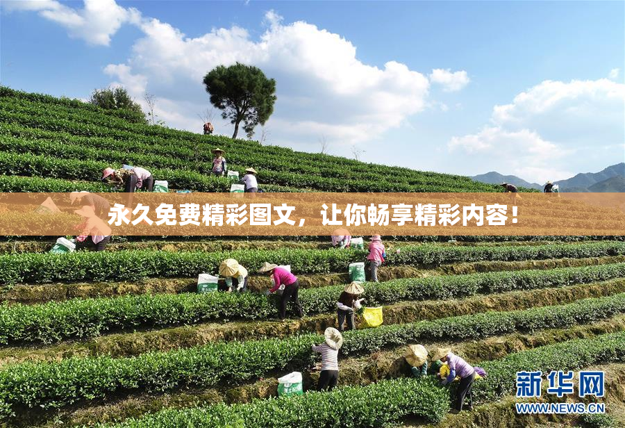 永久免费精彩图文，让你畅享精彩内容！