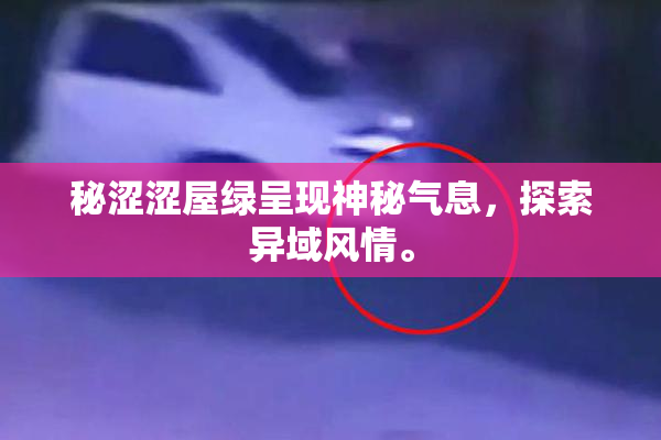 秘涩涩屋绿呈现神秘气息，探索异域风情。