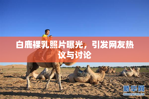 白鹿裸乳照片曝光，引发网友热议与讨论