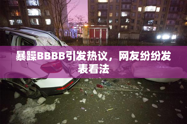 暴躁BBBB引发热议，网友纷纷发表看法