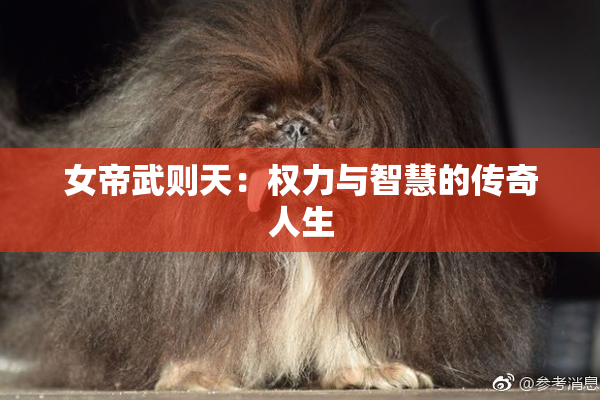 女帝武则天：权力与智慧的传奇人生