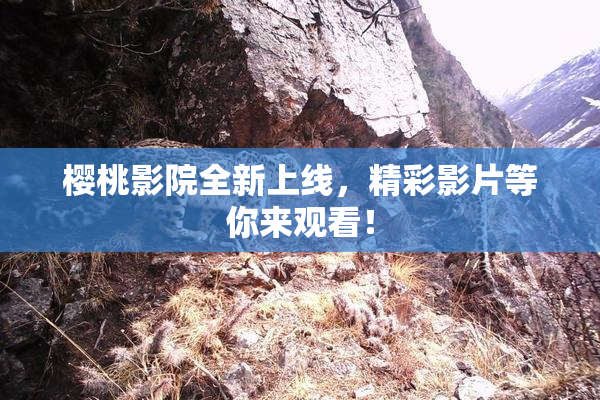 樱桃影院全新上线，精彩影片等你来观看！