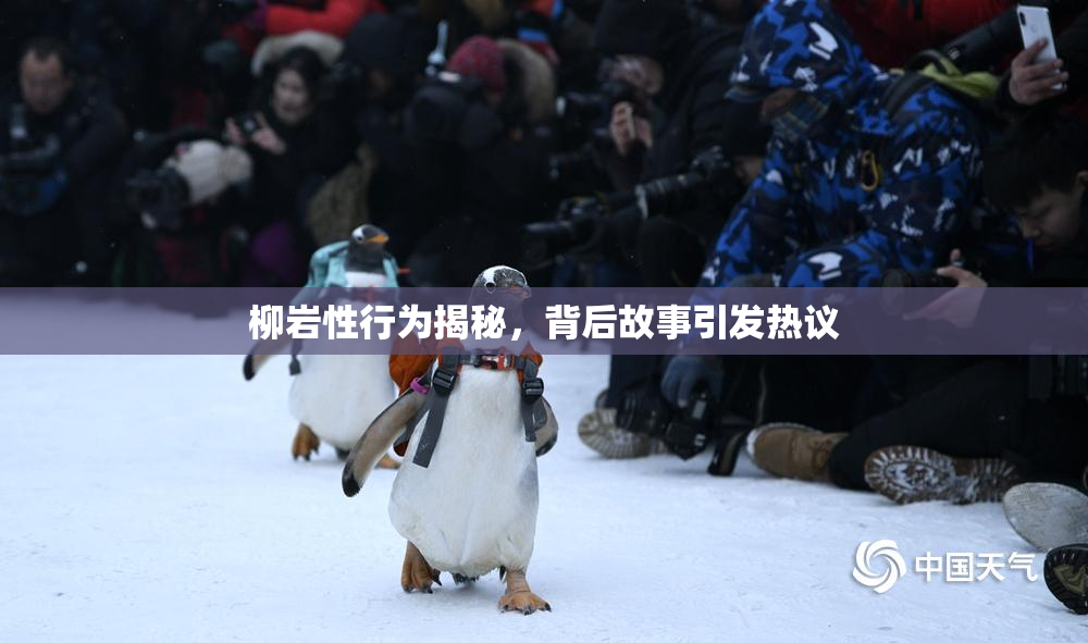 柳岩性行为揭秘，背后故事引发热议