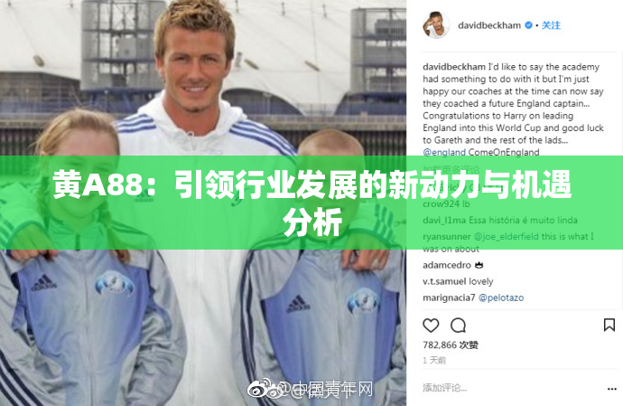 黄A88：引领行业发展的新动力与机遇分析