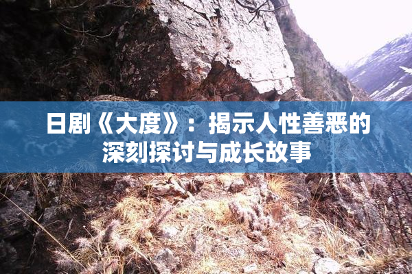 日剧《大度》：揭示人性善恶的深刻探讨与成长故事