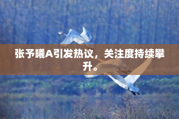 张予曦A引发热议，关注度持续攀升。