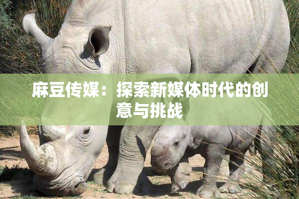 麻豆传媒：探索新媒体时代的创意与挑战