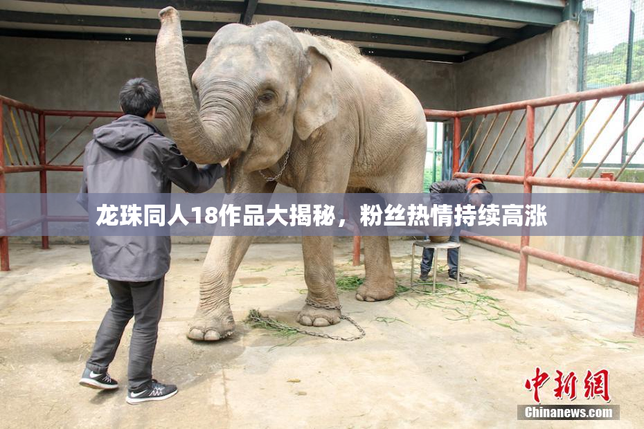 龙珠同人18作品大揭秘，粉丝热情持续高涨