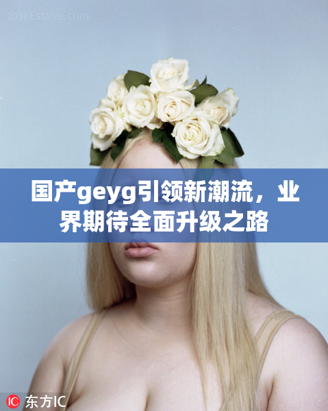 国产geyg引领新潮流，业界期待全面升级之路