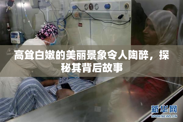 高耸白嫩的美丽景象令人陶醉，探秘其背后故事