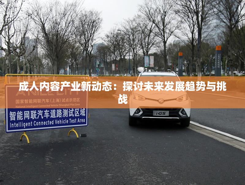 成人内容产业新动态：探讨未来发展趋势与挑战