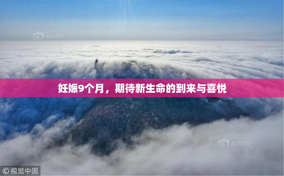 妊娠9个月，期待新生命的到来与喜悦