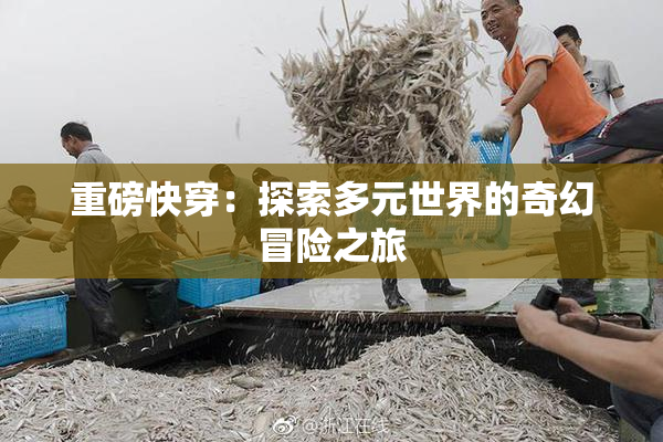 重磅快穿：探索多元世界的奇幻冒险之旅