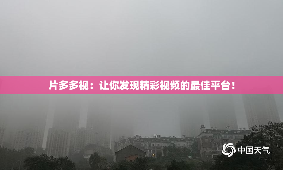 片多多视：让你发现精彩视频的最佳平台！
