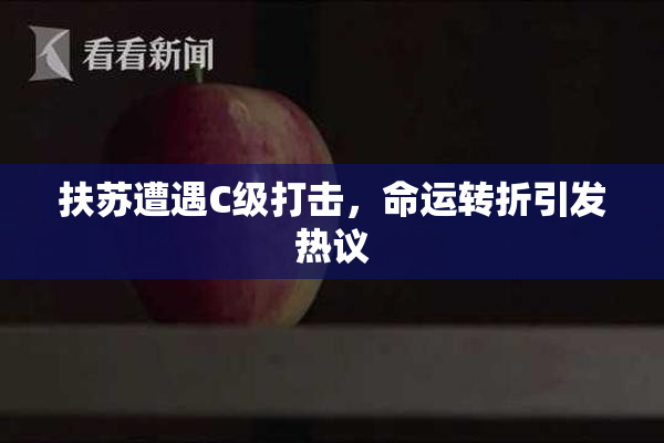 扶苏遭遇C级打击，命运转折引发热议