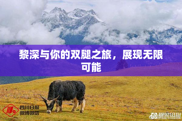 黎深与你的双腿之旅，展现无限可能