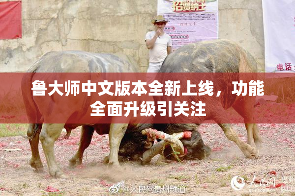 鲁大师中文版本全新上线，功能全面升级引关注